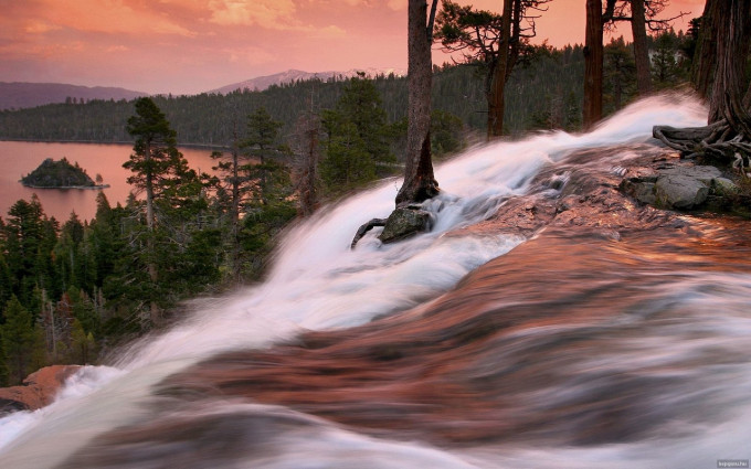 Halálra vagy életre ítélve?