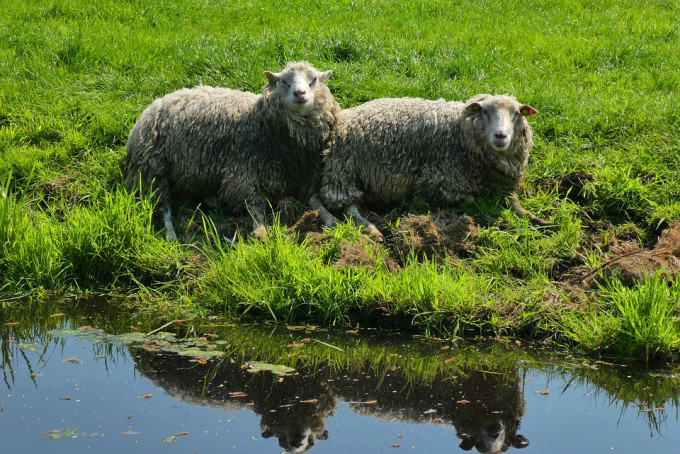 Ne veszítsd el a békességedet! – 4. rész